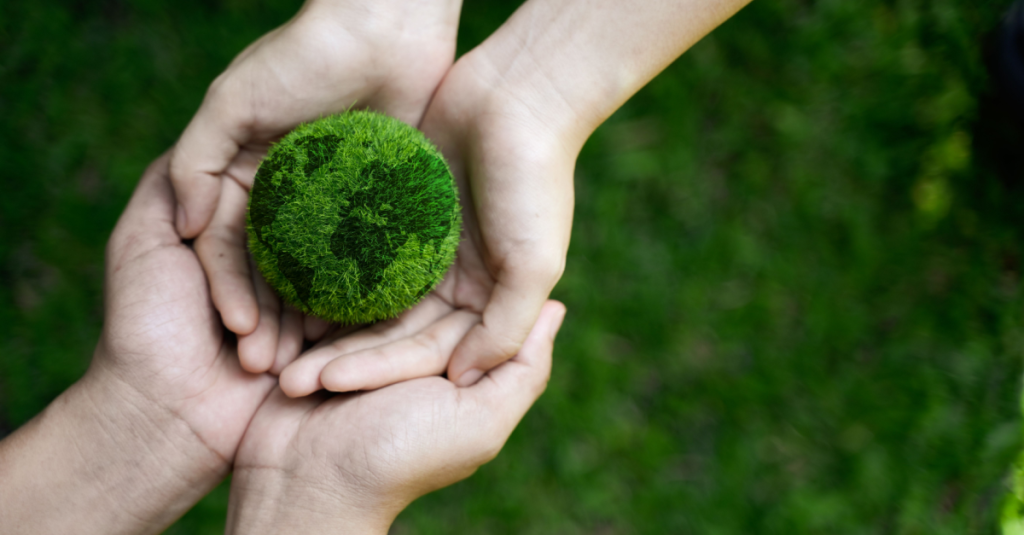 best carbon offset