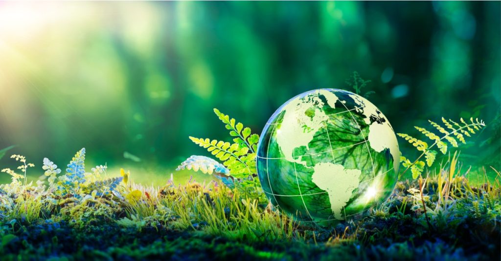 sustainability